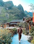 Northeast tour - Hanoi - Ha Giang - Cao Bang in ripe rice season